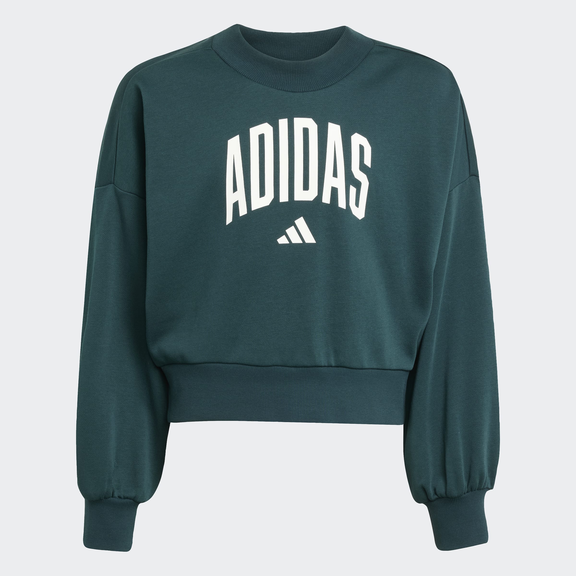 Seasonals Essentials Collegiate Typography Crewneck Sweatshirt Kids